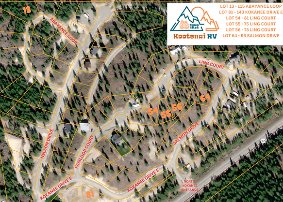 Lot Layout & Addresses 2025.png