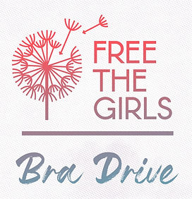 Free the girls poster.jpg