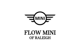 Flow Mini.png