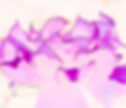 Rose Dreams