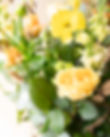 DSC03119.jpg