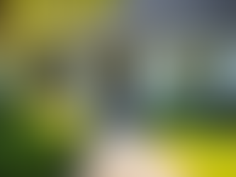 Benefits of Hiring a Rental Management Company for Rental Property Management