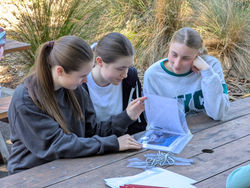 PXL_20241210_005512154