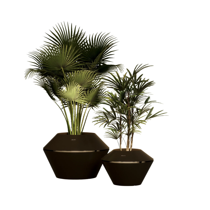 Thumbnail: Oyster Planter