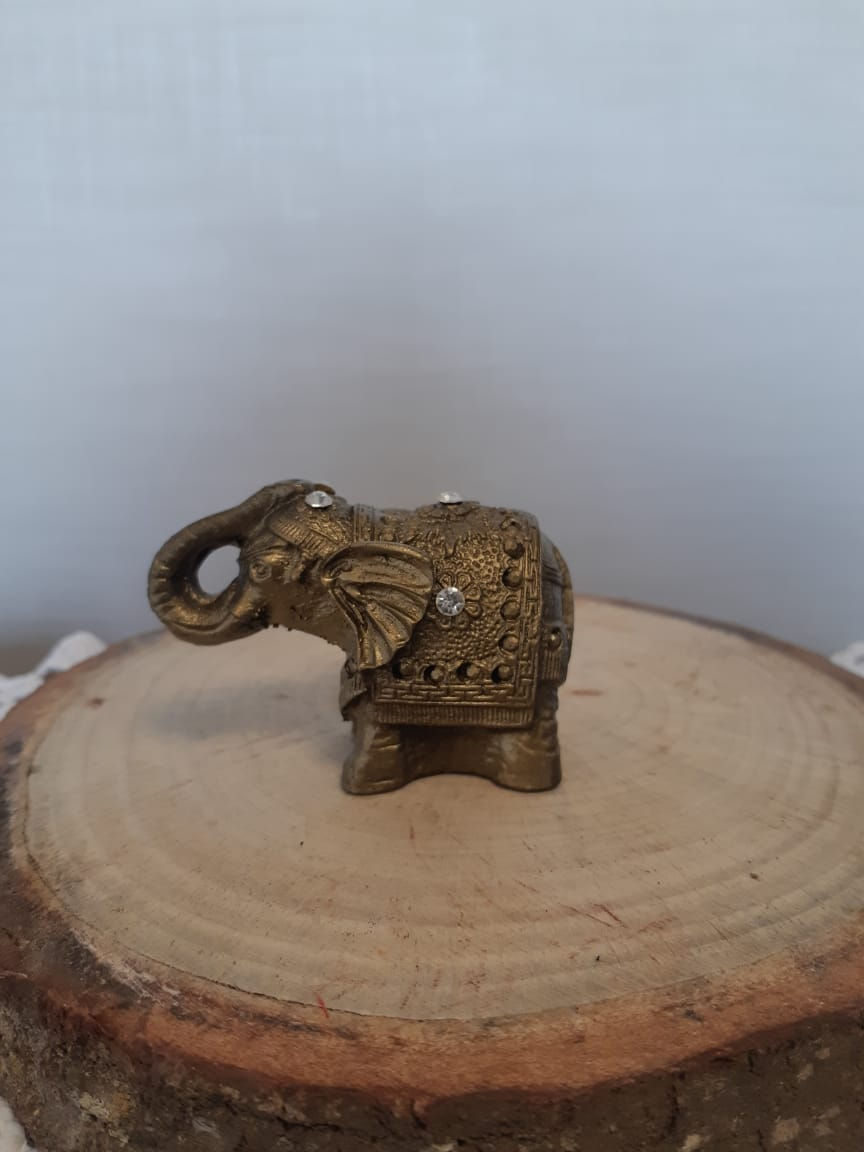 Miniatura: Elefante médio com strass