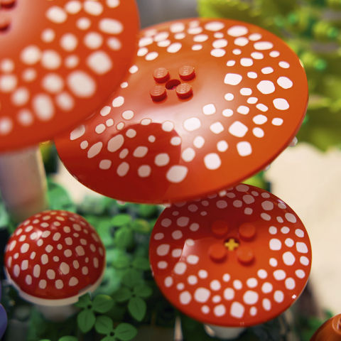 Thumbnail: LEGO® The Botanical Collection Woodland Mushrooms 11505