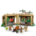 LEGO® Harry Potter™ Hogwarts™ Castle: Herbology Class 76445