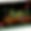 Thumbnail: LEGO® ICONS™ Tiny Plants 10329