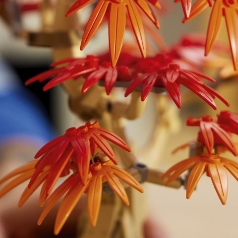 Thumbnail: LEGO® The Botanical Collection Japanese Red Maple Bonsai Tree 10348