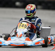 245 (3)
