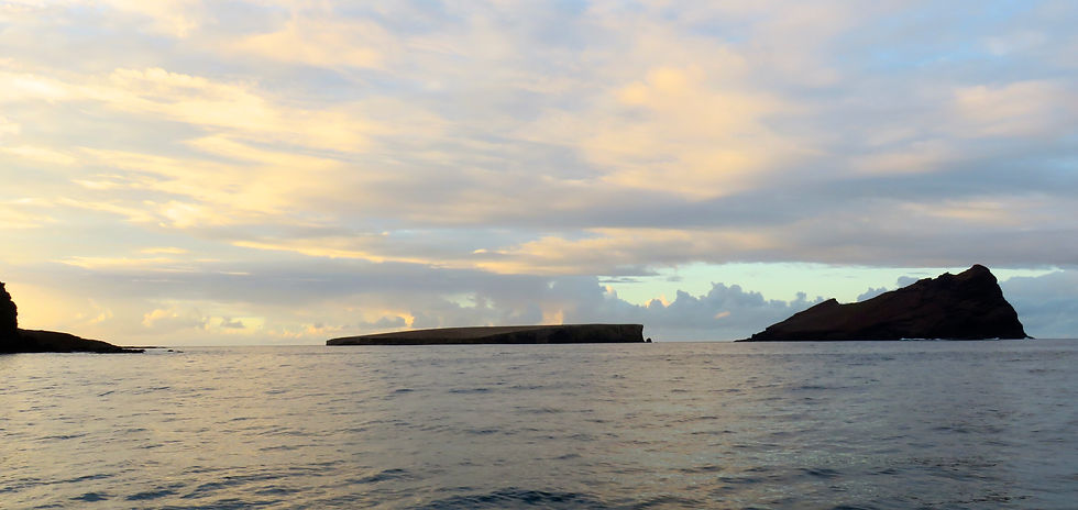 Motu Teuaua or Bird Island