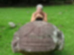 Iipona at Pua Mau