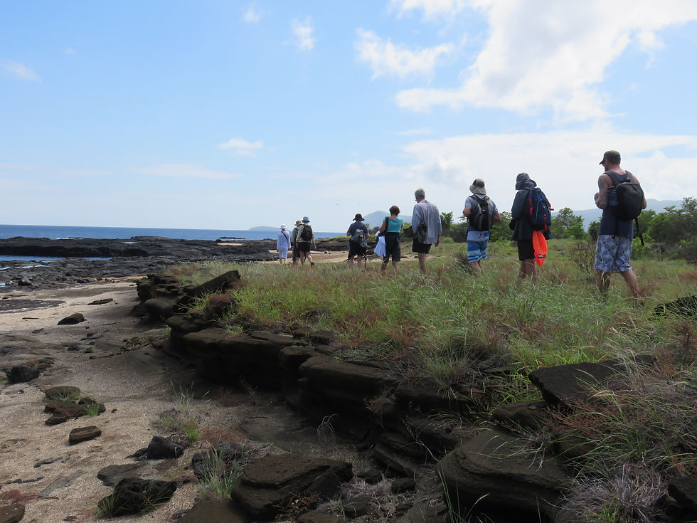 Guided Tour