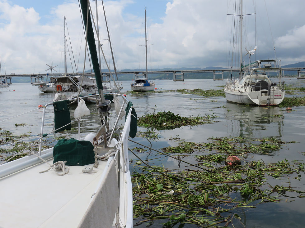Bahia