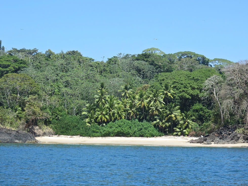 Playa Brava