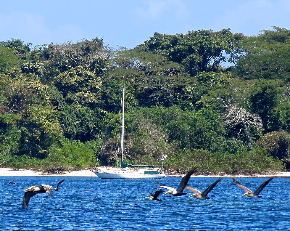 Isla Bayoneta