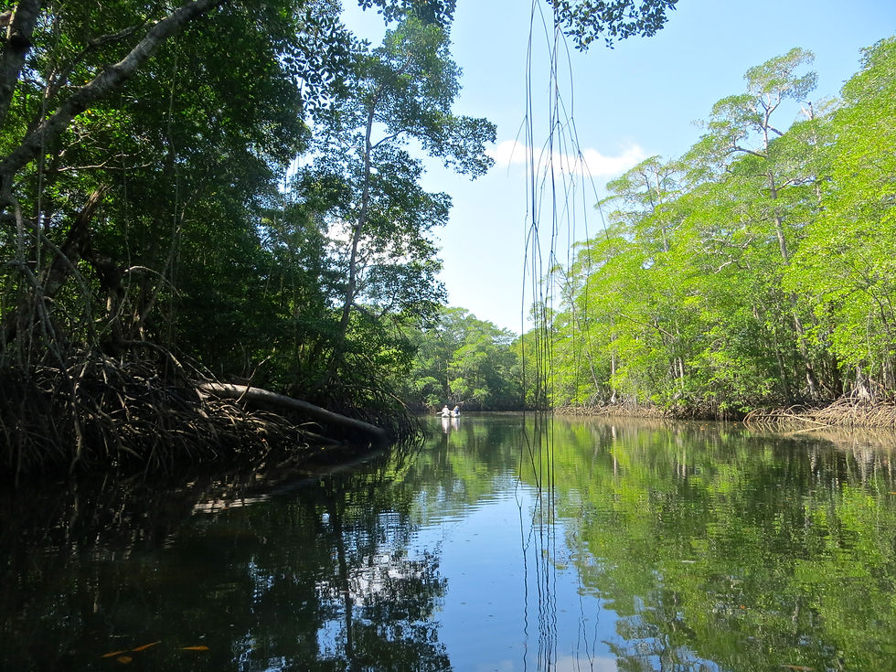 Rio Cacique, Isla del Rey