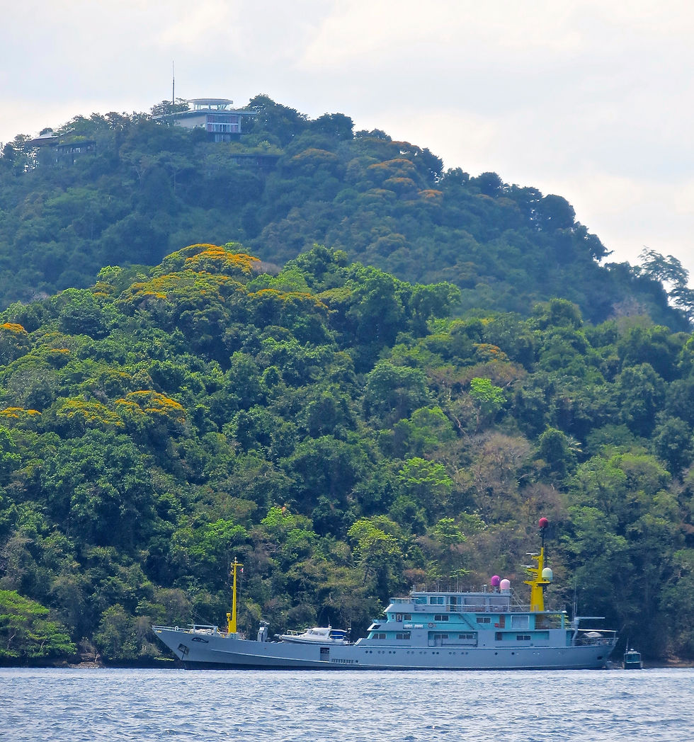 Isla Canales de Tierra (Simca)