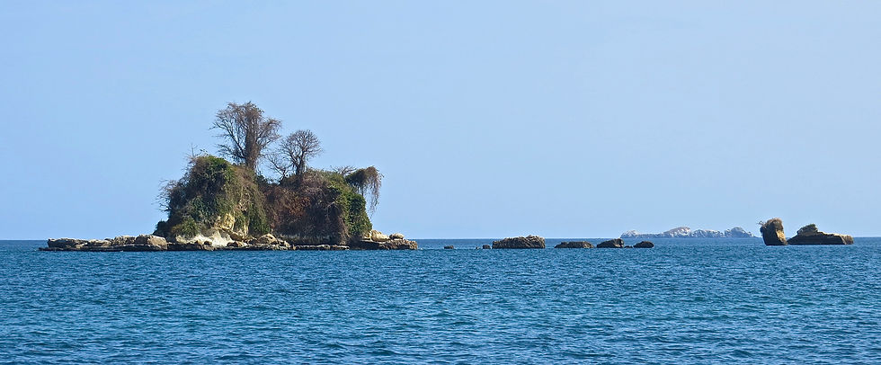 Flower pot island