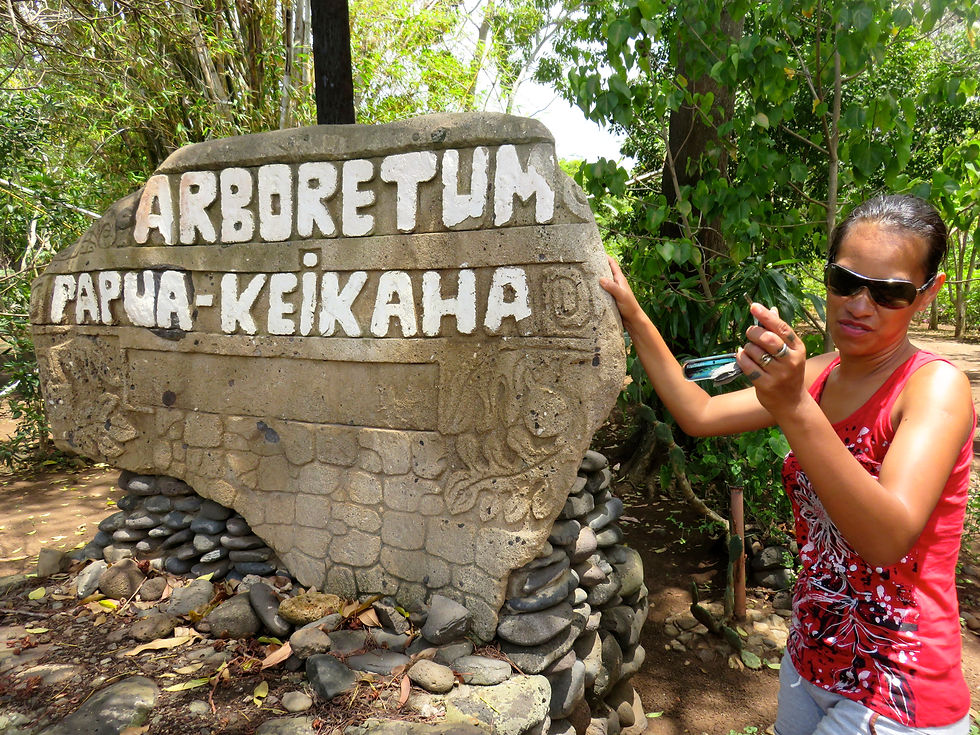 Arboretum