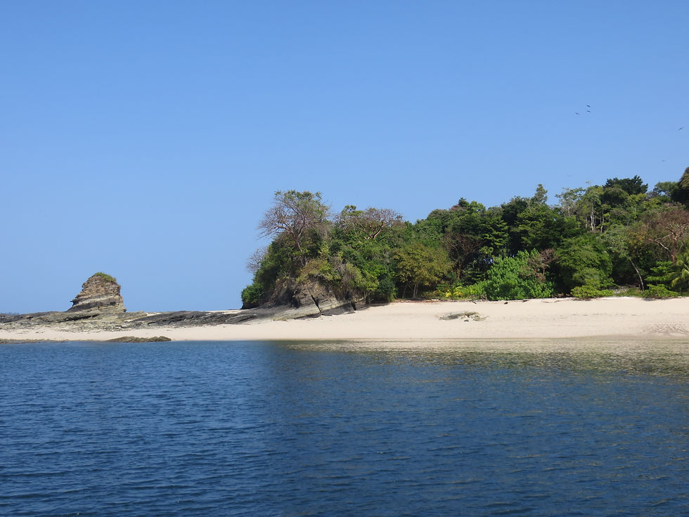 Isla Platanita at low tide