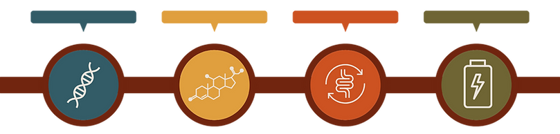 Copy of Signature Care System Roadmap Template (3).png