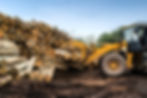 AdobeStock_198473436