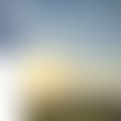 有料メルマガのご感想vol.2