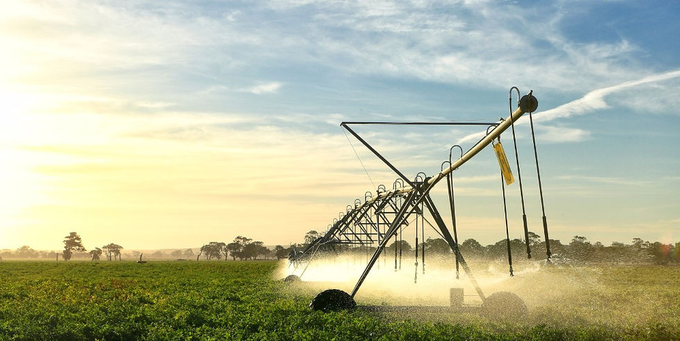 Pumping Systems for Irrigation (6).jpeg