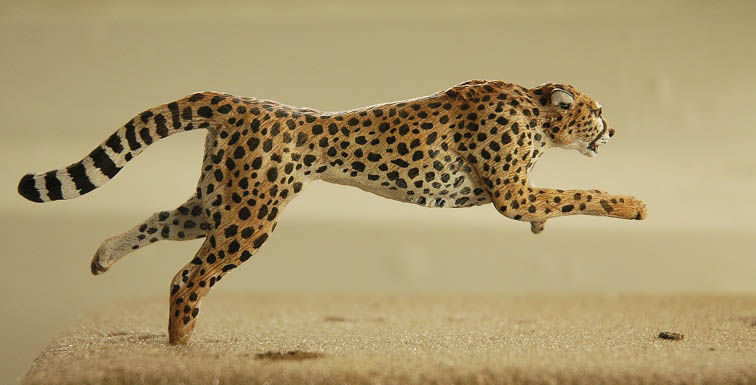cheetahSpringbokf5.jpg
