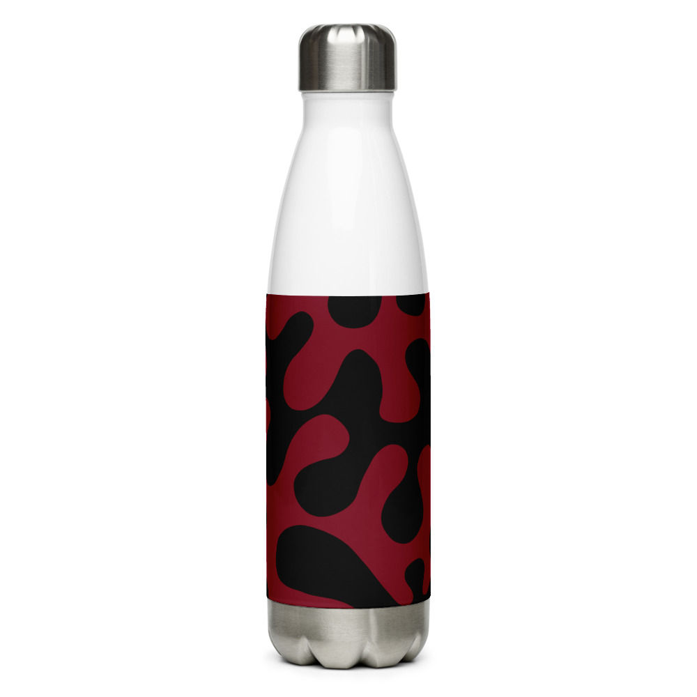 Stainless Steel Water Bottle