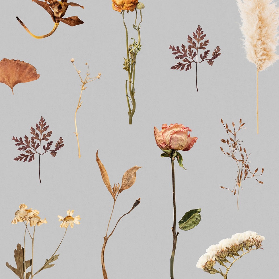 dried-flower-leaf-patterned.jpg