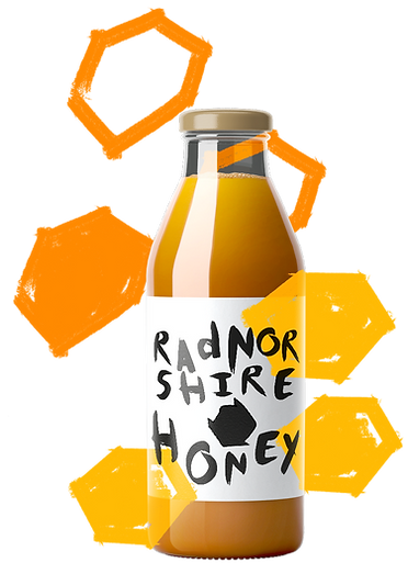 Bottle.png
