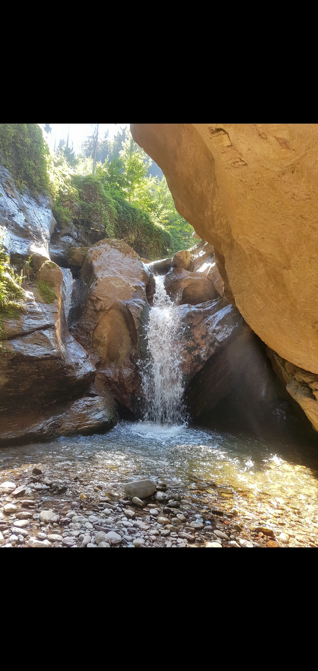 Autorenbild: lampertsylvia