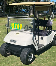 White EZGO TXT 1.jpg