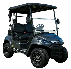 2-Seater-Limited-Edition-Cart-1.png.webp