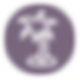 Palm Tree Icon - Purple