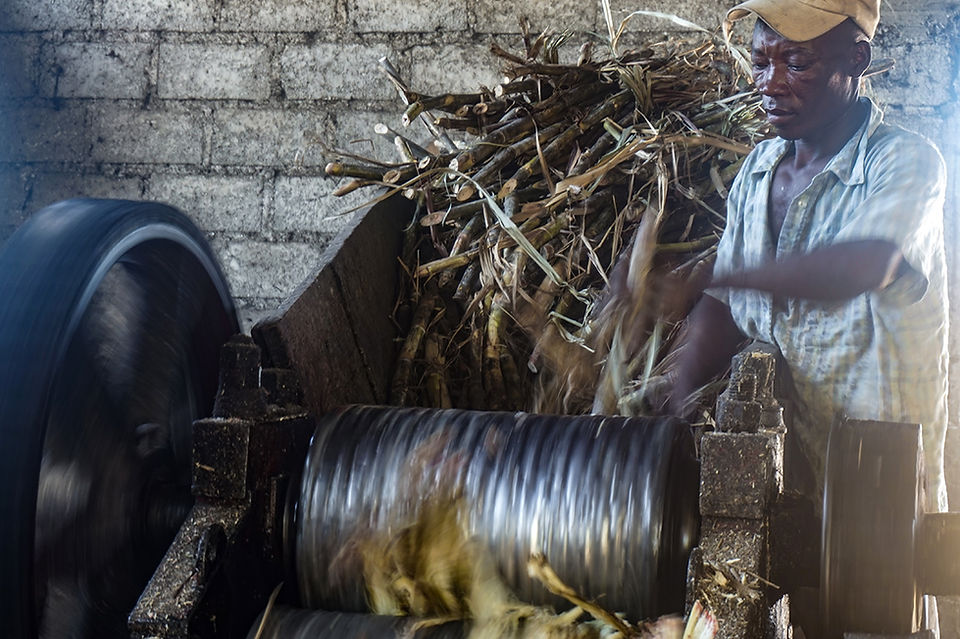 Clairin sugarcane crushing