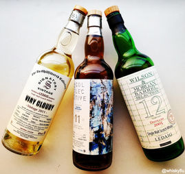 Ledaig Single Malt Whisky Review-Three Independents