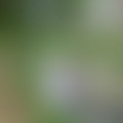 PFR Survey case study