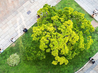 City sustainability