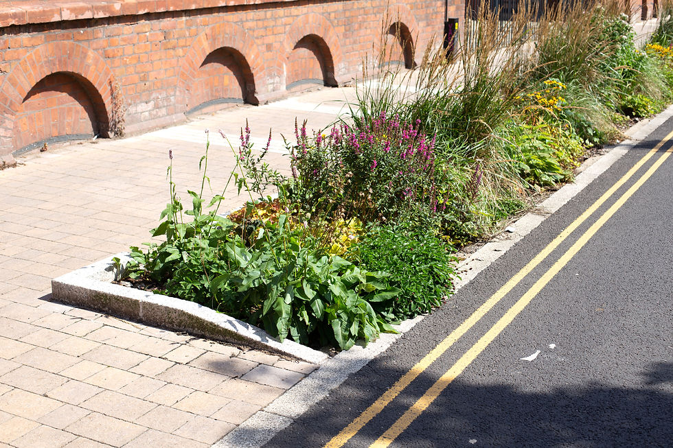 Roadside sustainable drainage systems in Salford_edited.jpg