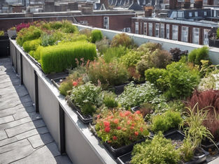 Green Roofs