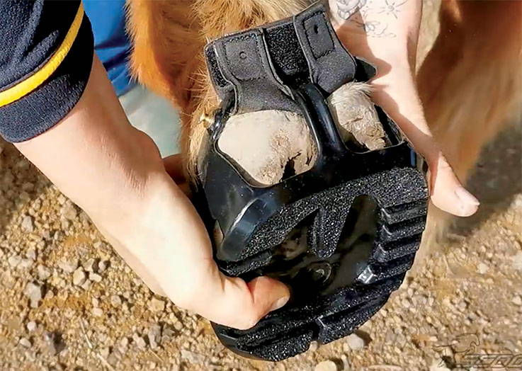 Thumbnail: Hire 3 Scoot Boot Fit Kit Shells