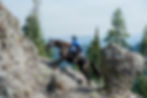 703736_449847021729780_70885296_o.jpg