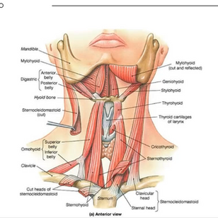 Captura de tela 2021-10-13 175726.png