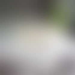 TORT MAKOWY Z ŻURAWINĄ