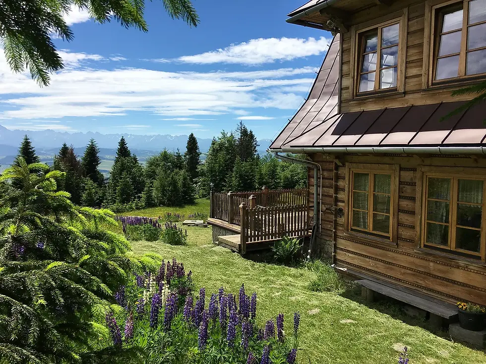 widok z Jagodowej Polany