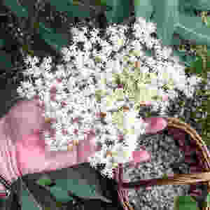 FB3C47FCAB7D48F6BBAE40145676EBF9