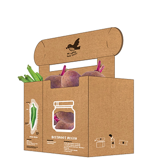 grow ur seedsAsset 3@2x.png